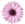 daisy-cut-out-purple